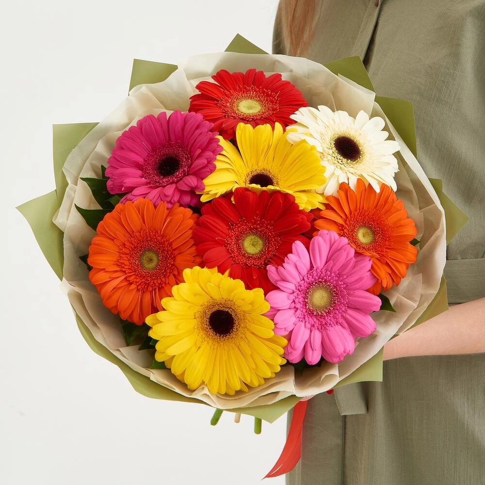 Gerbera
