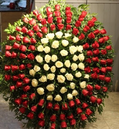 Əklil ağ və qırmızı roza