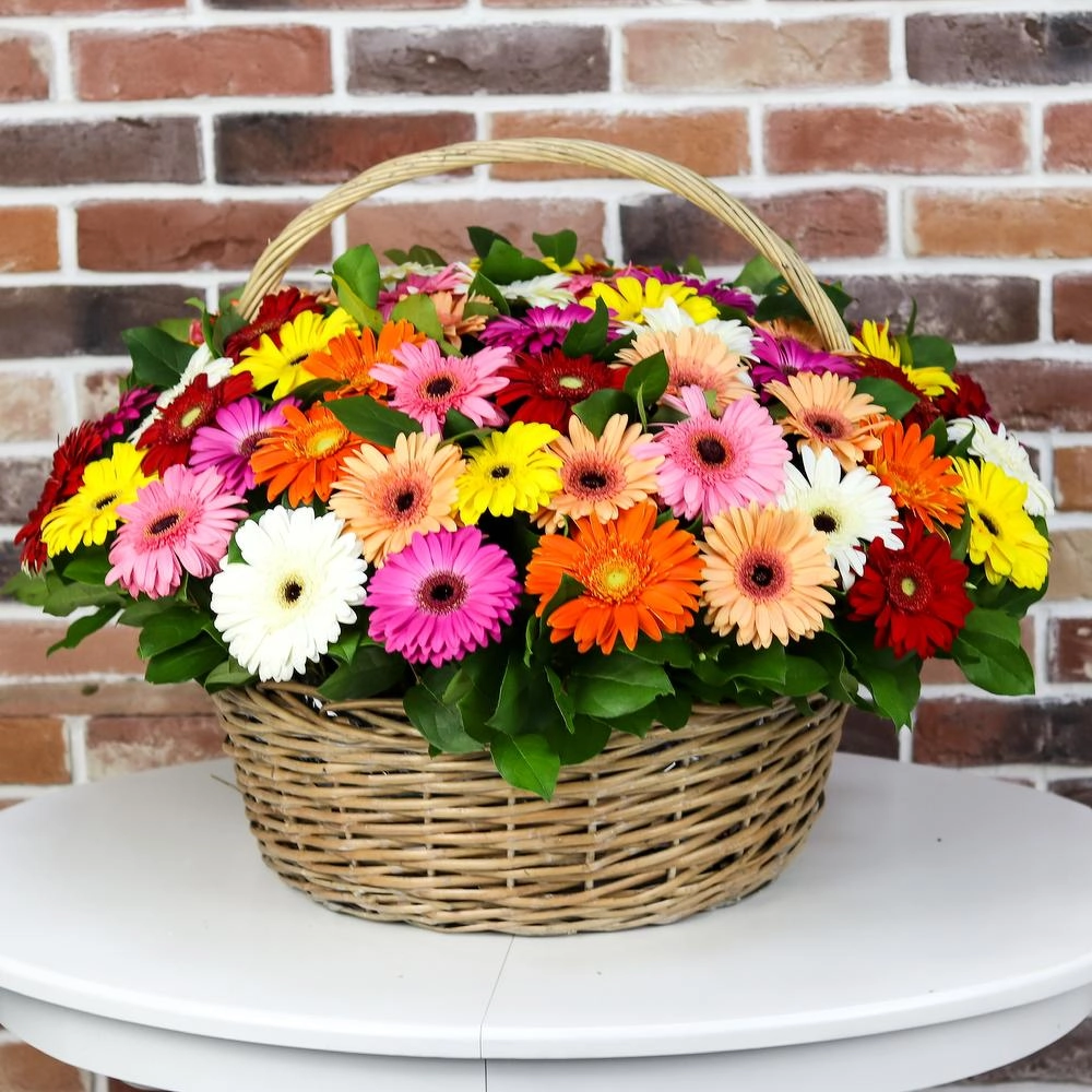 Gerbera səbəti
