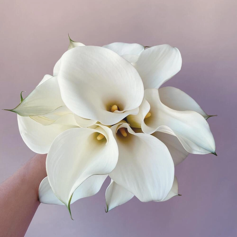 Gəlin buketi Ağ kala