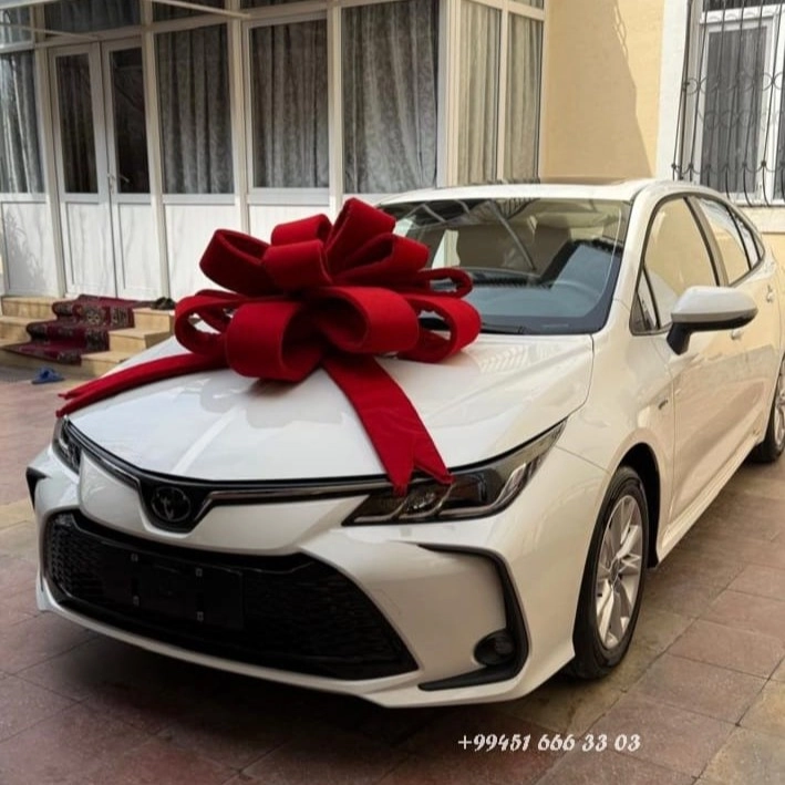 Bantik hədiyə üçün