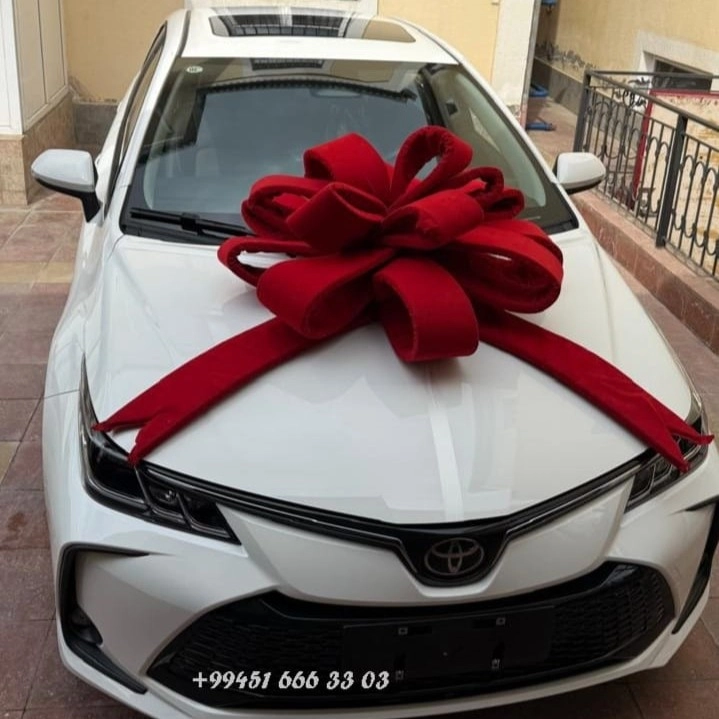 Bantik hədiyə üçün