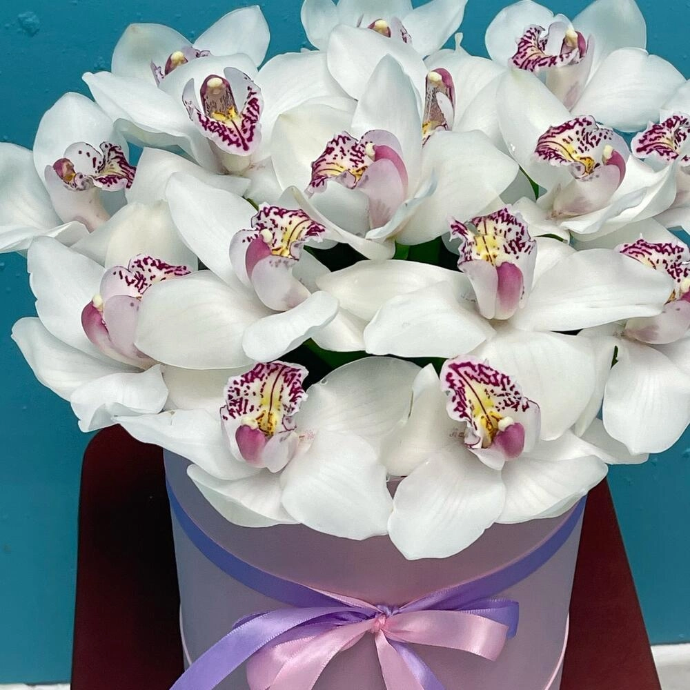 Orxideya qutuda 8 mart - Image 2