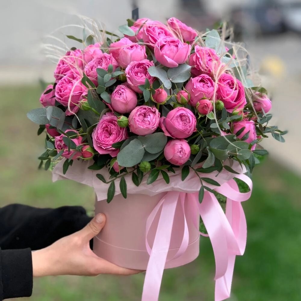 Piona bənzər rozalar Qızılgül