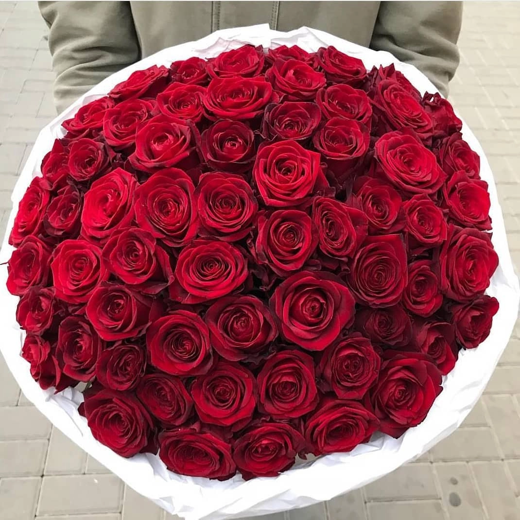 Qırmizi roza buketi 101ədəd Qızılgül