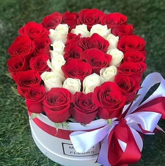 Rozalarla D hərfi 8 mart