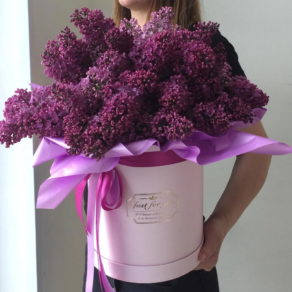 Yasəmən gülü 8 mart
