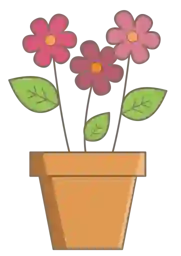 Bitki